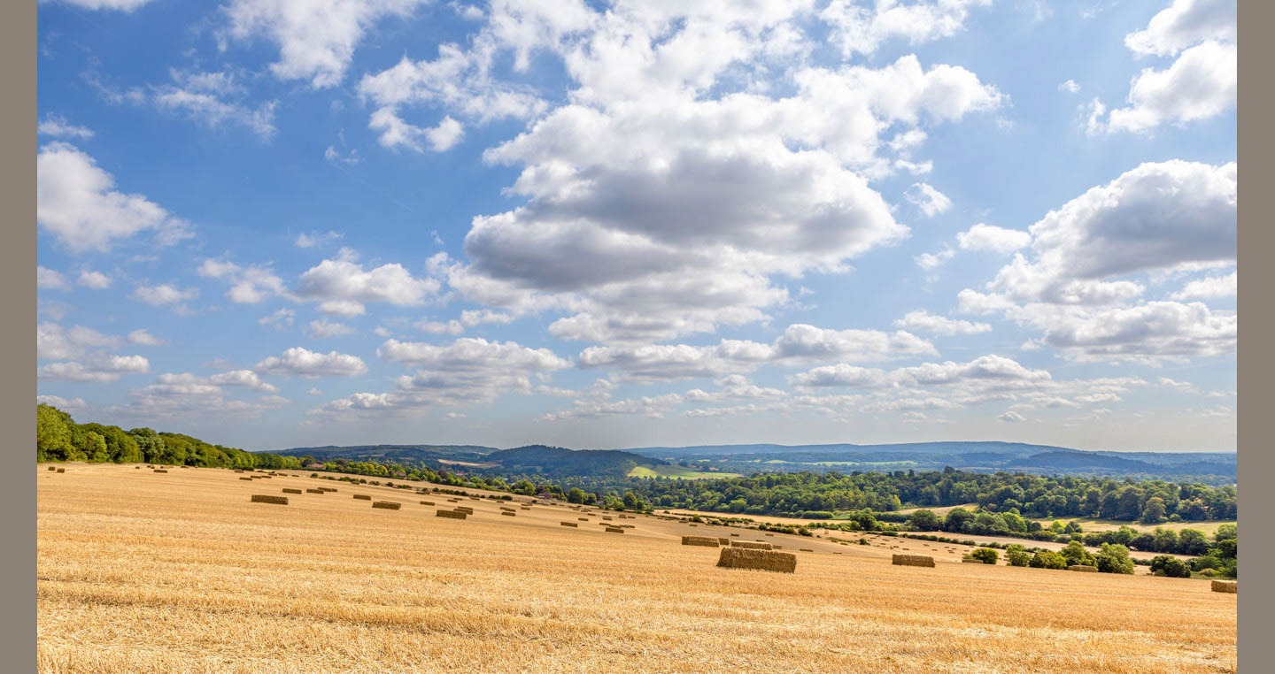 Landscape Photograph - hay bales sit in sunlight under summer clouds