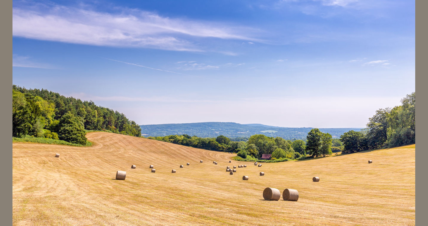 Field of Gold Landscape Photograph - round bales sit in a golden harvested field